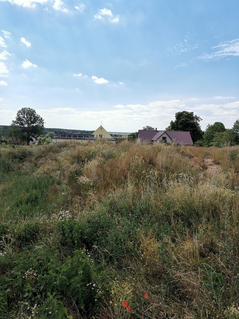 Działka na sprzedaż Skoszewo 972 m2 | Arka Nieruchomości