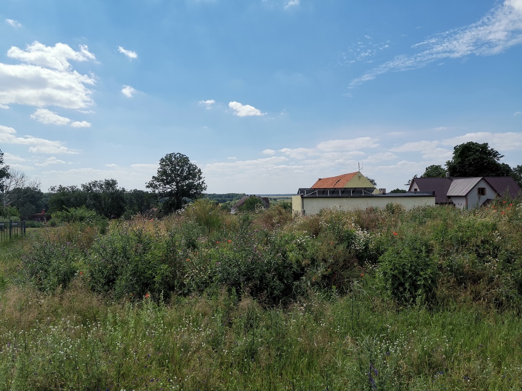 Działka na sprzedaż Skoszewo 972 m2 | Arka Nieruchomości