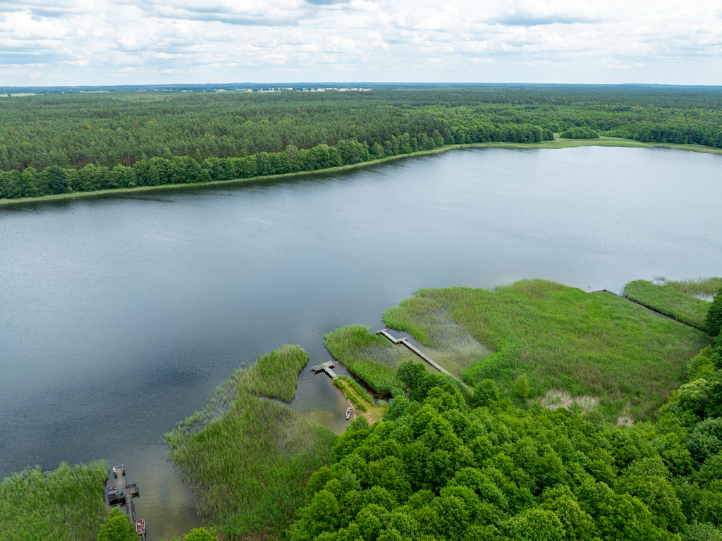 Działka na sprzedaż Ostroróg 3 012 m2 | Arka Nieruchomości
