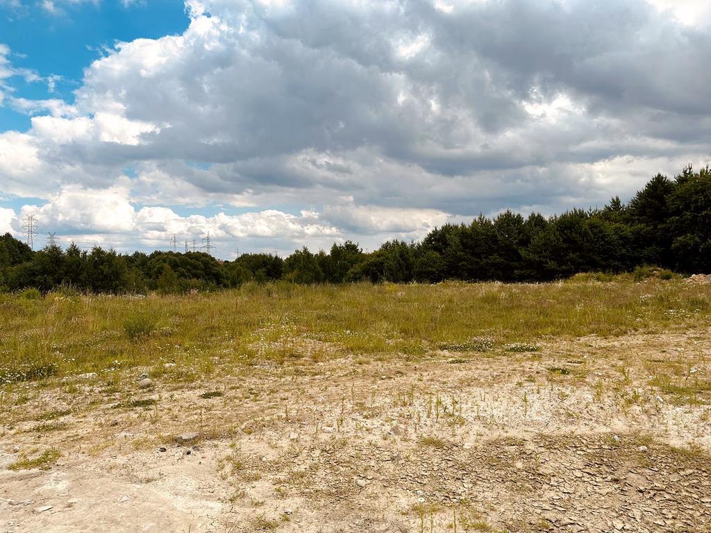 Działka na sprzedaż Przęsocin 10 m2 | Arka Nieruchomości