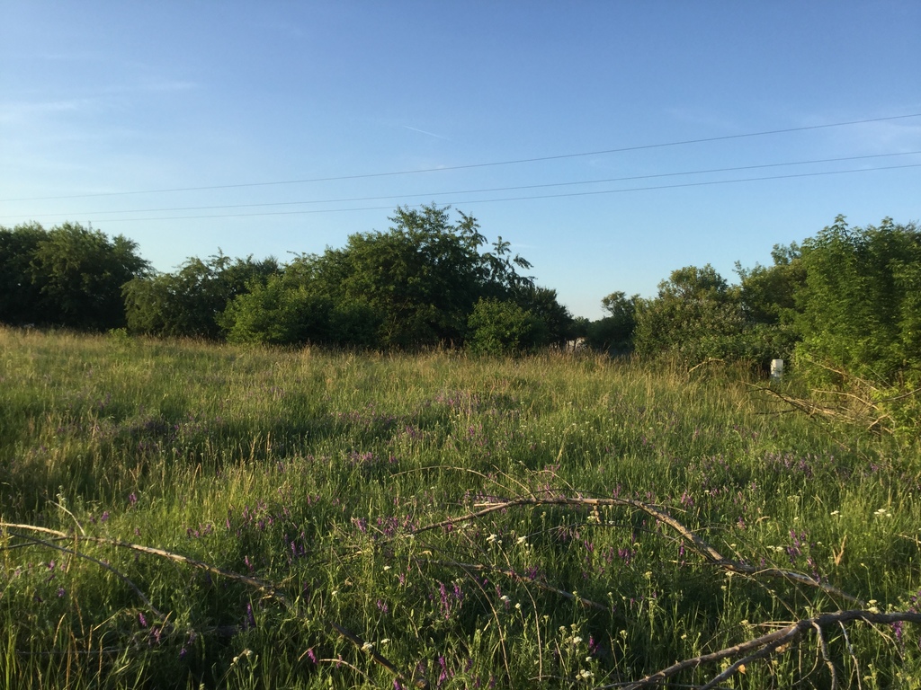 Działka na sprzedaż Pilchowo 2 621 m2 | Arka Nieruchomości
