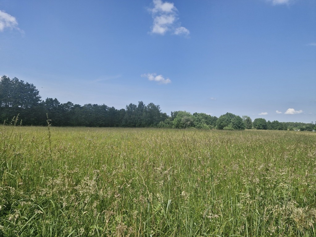 Działka na sprzedaż Wrzosowo 1 890 m2 | Arka Nieruchomości