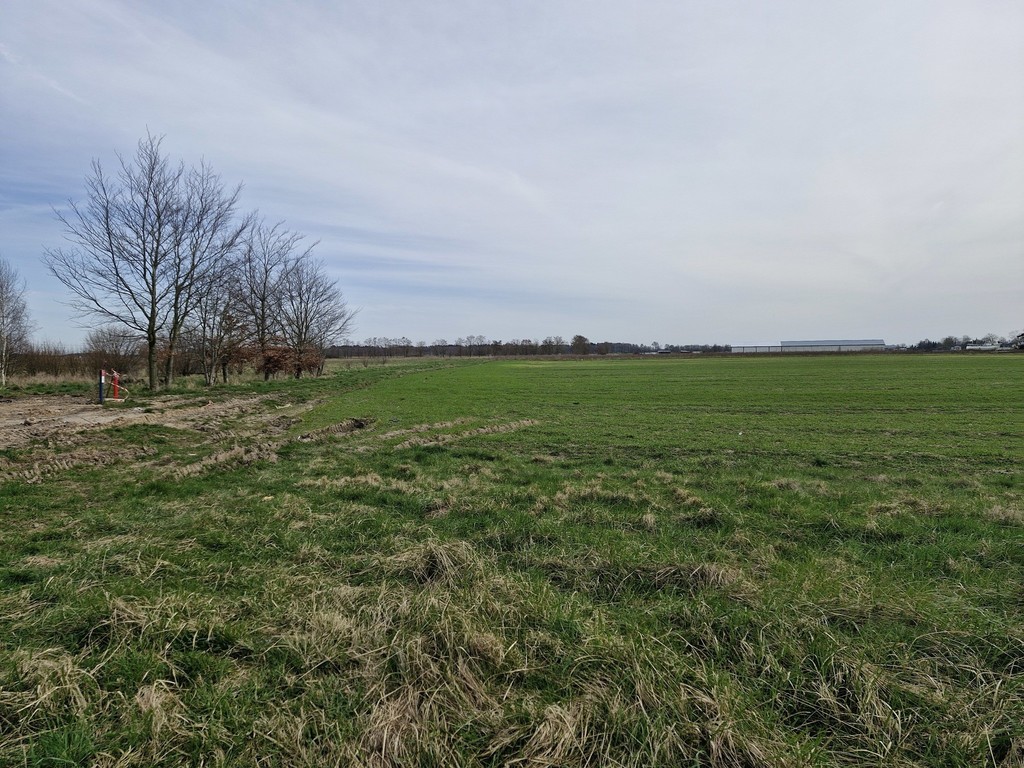 Działka na sprzedaż Wrzosowo 1 890 m2 | Arka Nieruchomości