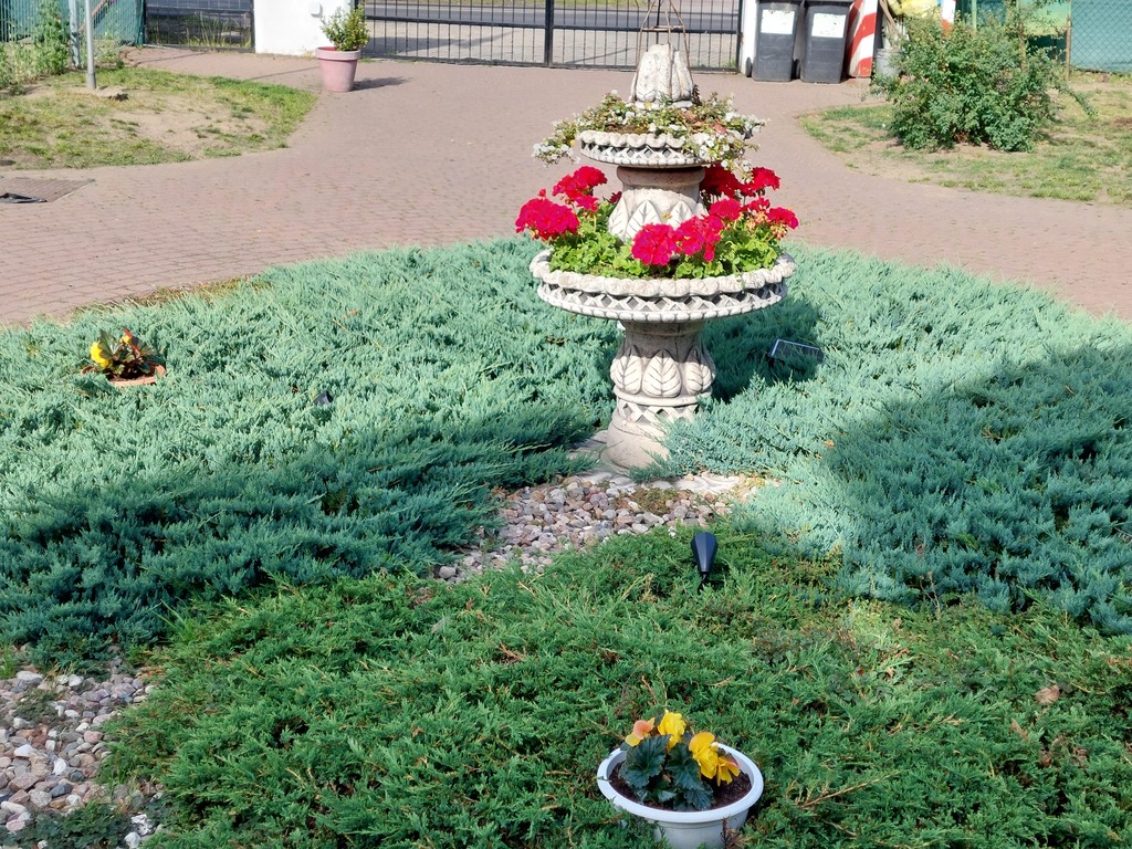 Dom na sprzedaż Pniewo 300 m2 | Arka Nieruchomości