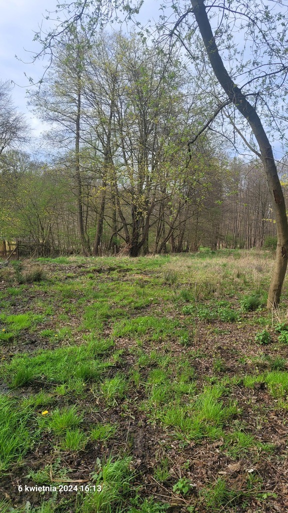 Działka na sprzedaż Sierakowo 41 606 m2 | Arka Nieruchomości