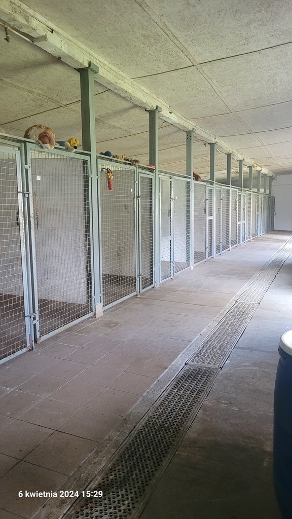 Dom na sprzedaż Sierakowo 1 000 m2 | Arka Nieruchomości