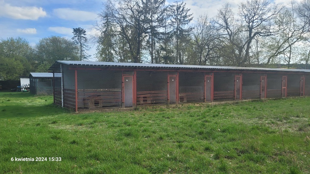 Dom na sprzedaż Sierakowo 1 000 m2 | Arka Nieruchomości