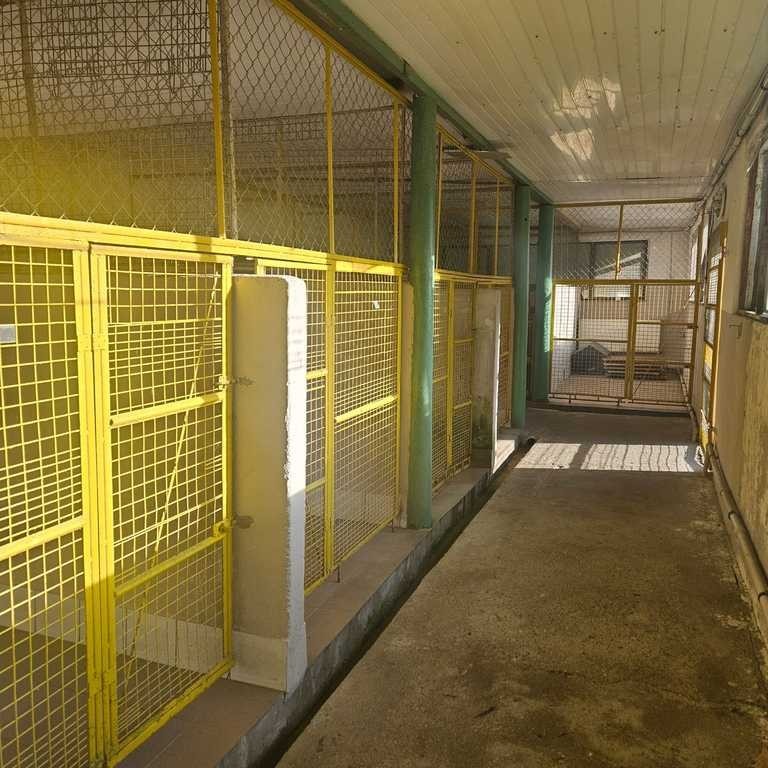 Dom na sprzedaż Sierakowo 1 000 m2 | Arka Nieruchomości