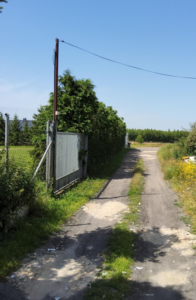 Działka na sprzedaż Barnisław 3 000 m2 | Arka Nieruchomości