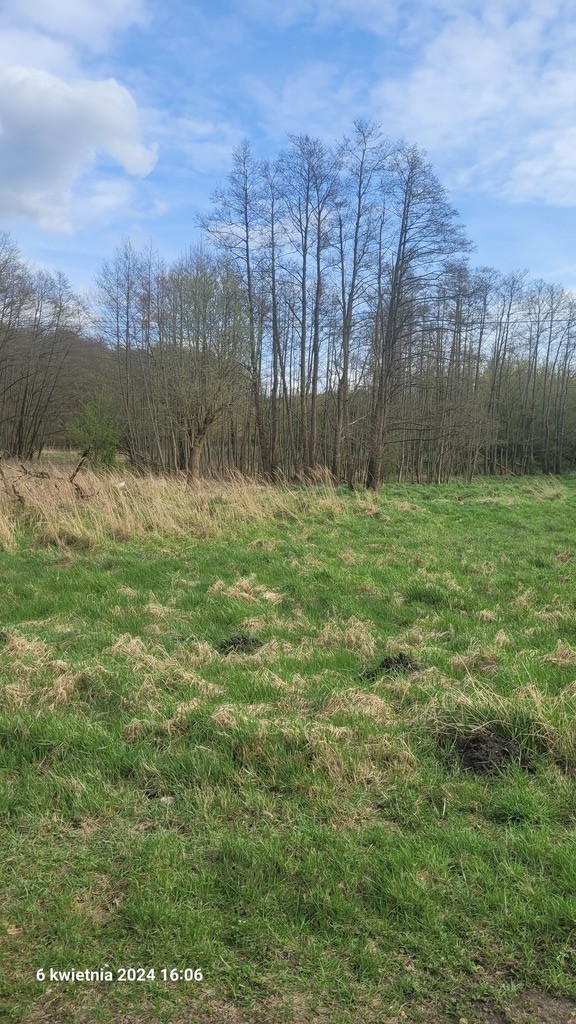 Obiekt na sprzedaż Sierakowo 1 240 m2 | Arka Nieruchomości