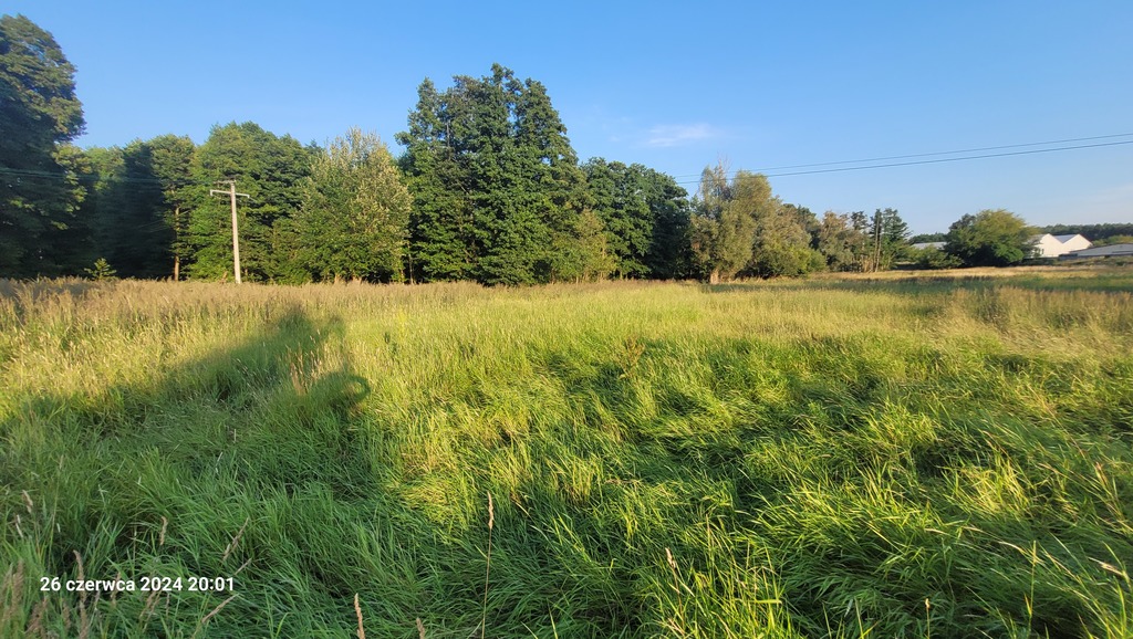 Działka na sprzedaż Sierakowo 41 606 m2 | Arka Nieruchomości