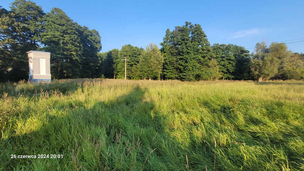 Działka na sprzedaż Sierakowo 41 606 m2 | Arka Nieruchomości