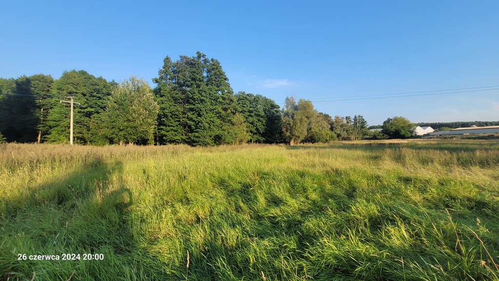 Działka na sprzedaż Sierakowo 41 606 m2 | Arka Nieruchomości