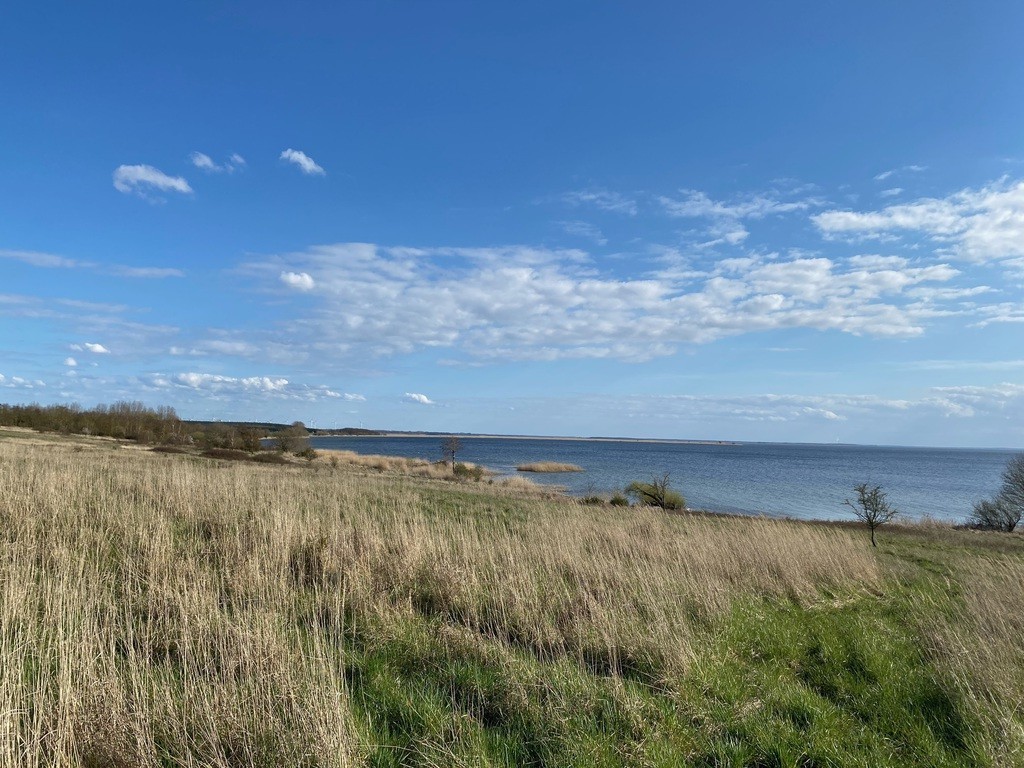 Działka na sprzedaż Płocin 3 000 m2 | Arka Nieruchomości