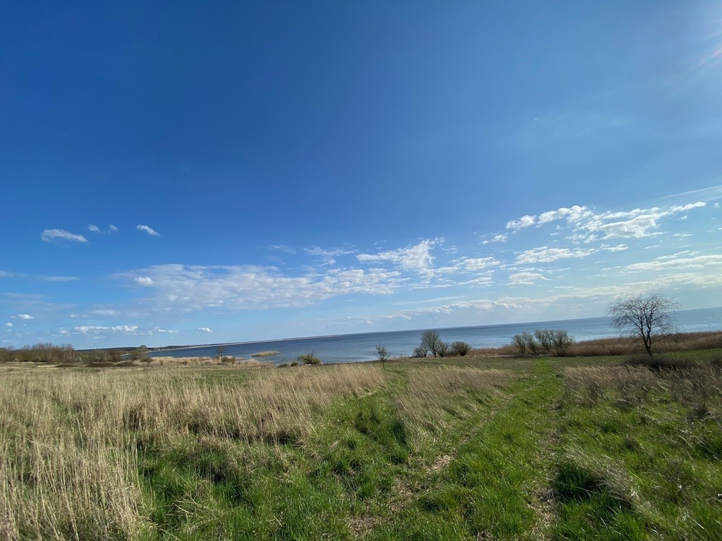 Działka na sprzedaż Płocin 3 000 m2 | Arka Nieruchomości