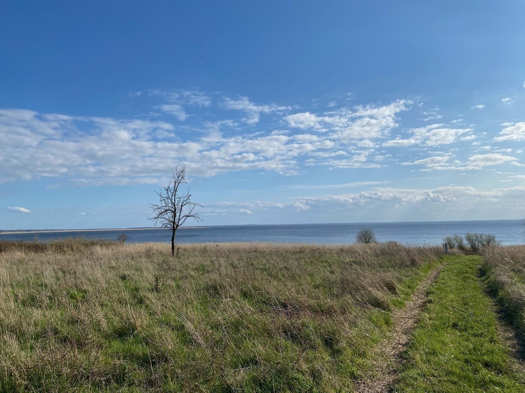 Działka na sprzedaż Płocin 3 000 m2 | Arka Nieruchomości