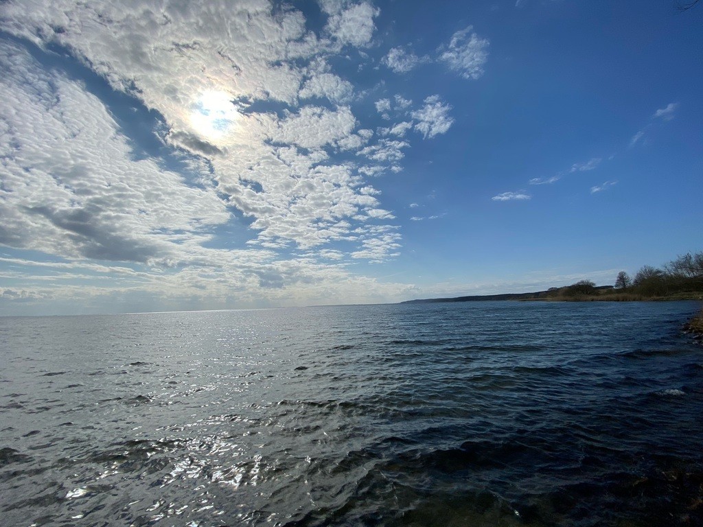 Działka na sprzedaż Płocin 3 000 m2 | Arka Nieruchomości