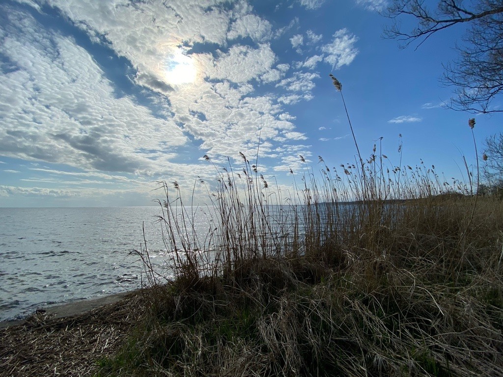 Działka na sprzedaż Płocin 3 000 m2 | Arka Nieruchomości