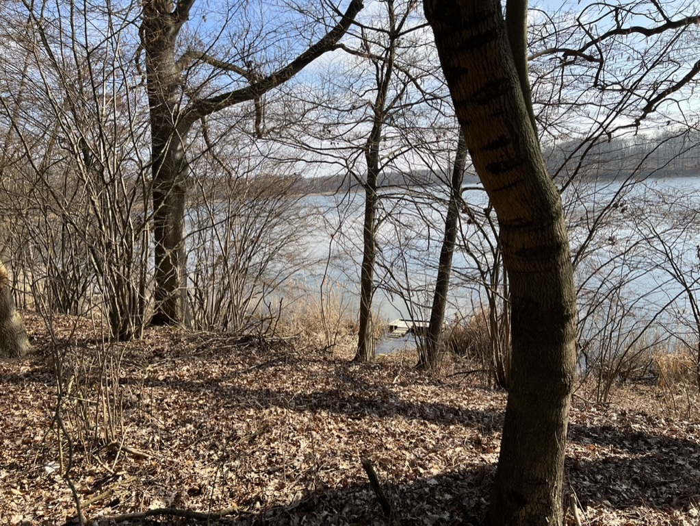 Działka na sprzedaż Choszczno 1 420 m2 | Arka Nieruchomości