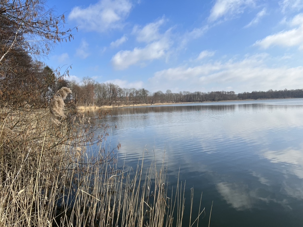 Działka na sprzedaż Choszczno 1 420 m2 | Arka Nieruchomości
