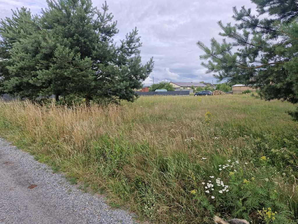 Działka na sprzedaż Modrzewie 2 200 m2 | Arka Nieruchomości
