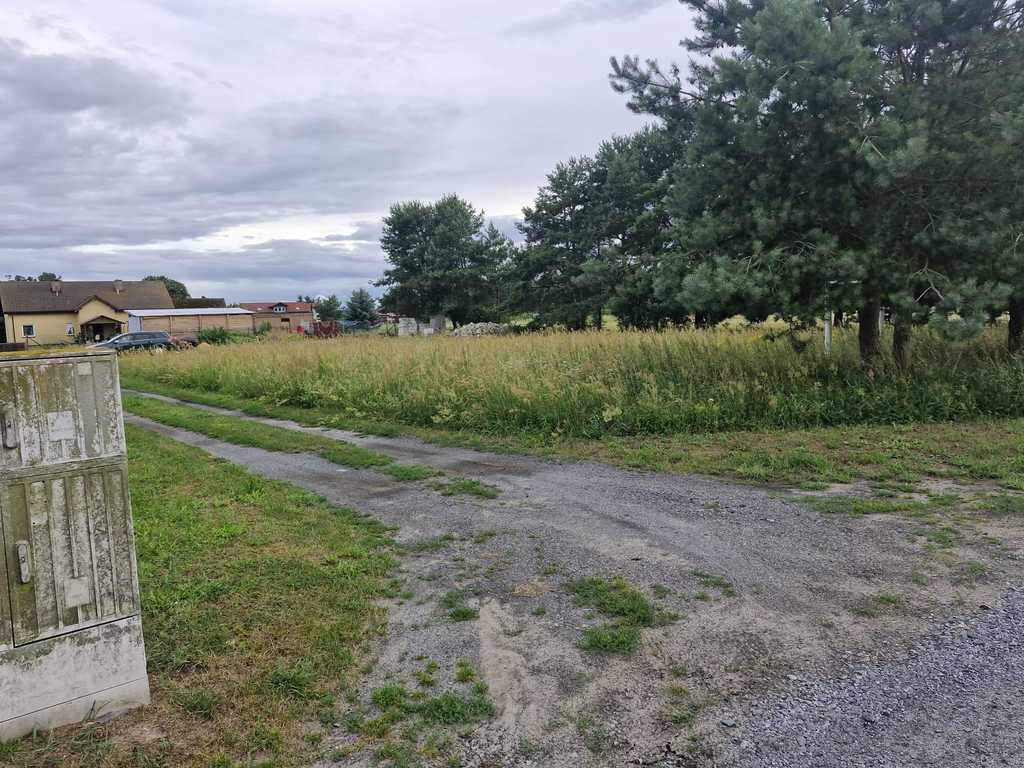 Działka na sprzedaż Modrzewie 2 200 m2 | Arka Nieruchomości