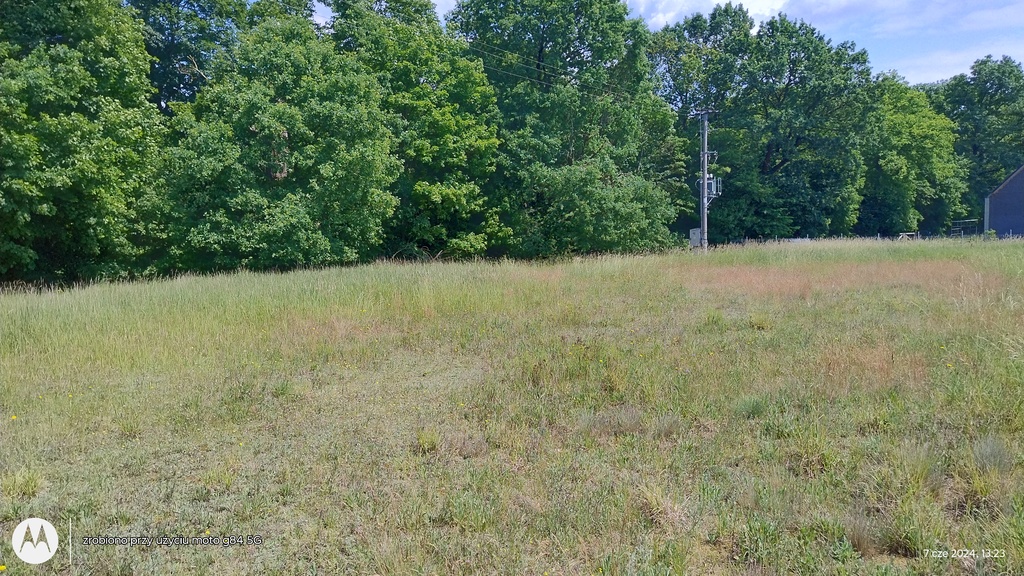 Działka na sprzedaż Łęgi 1 007 m2 | Arka Nieruchomości