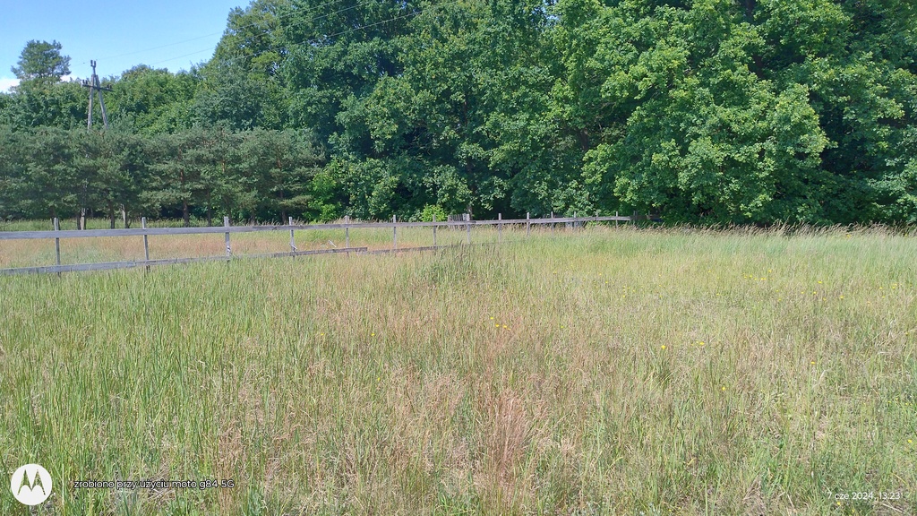 Działka na sprzedaż Łęgi 1 007 m2 | Arka Nieruchomości