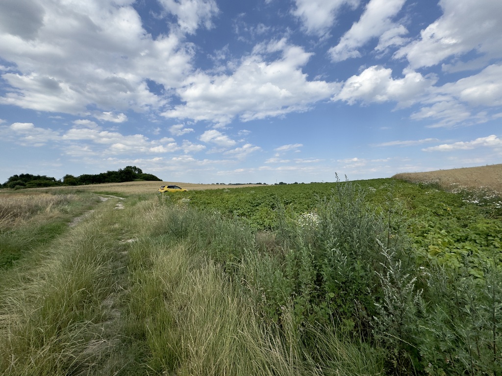 Działka na sprzedaż Bielice 2 300 m2 | Arka Nieruchomości