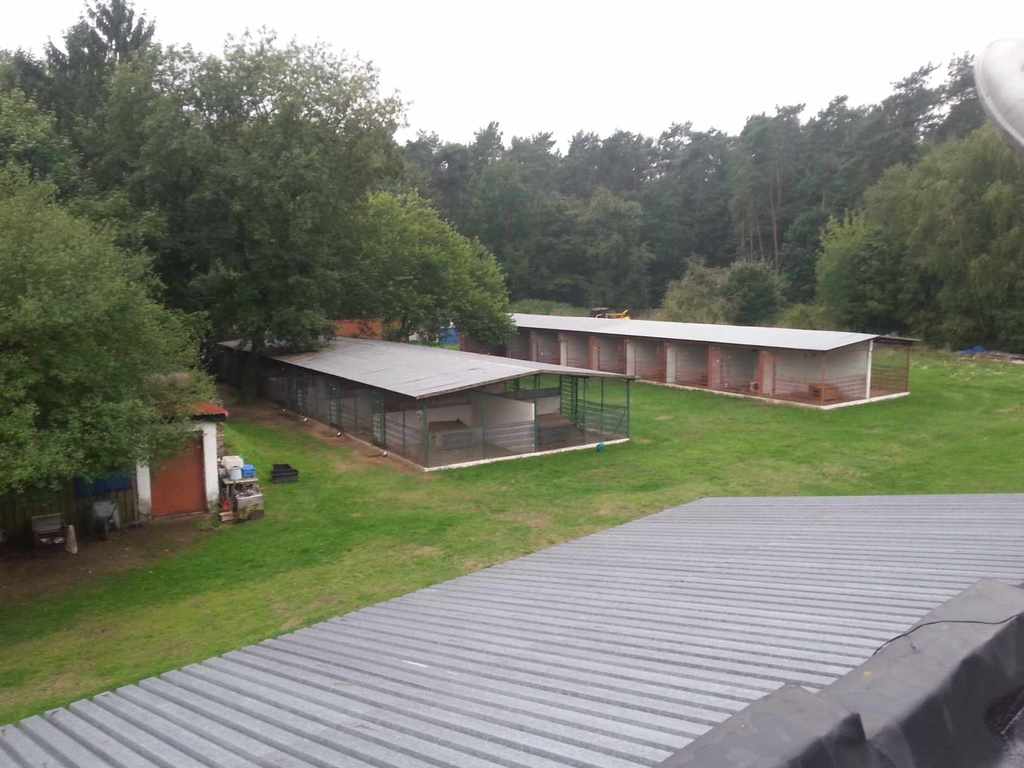 Obiekt na sprzedaż Sierakowo 1 240 m2 | Arka Nieruchomości