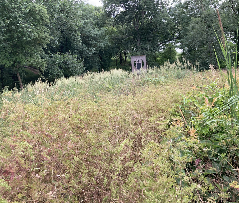 Działka na sprzedaż Gozdowice 1 100 m2 | Arka Nieruchomości