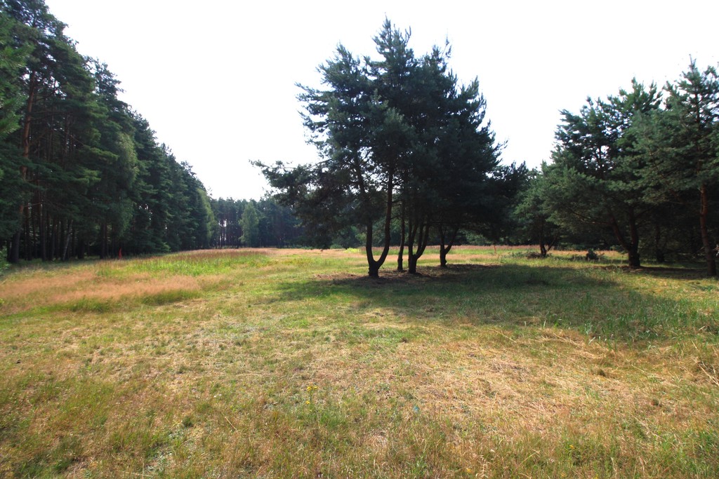 Działka na sprzedaż Szczecin, Wielgowo 1 960 m2 | Arka Nieruchomości