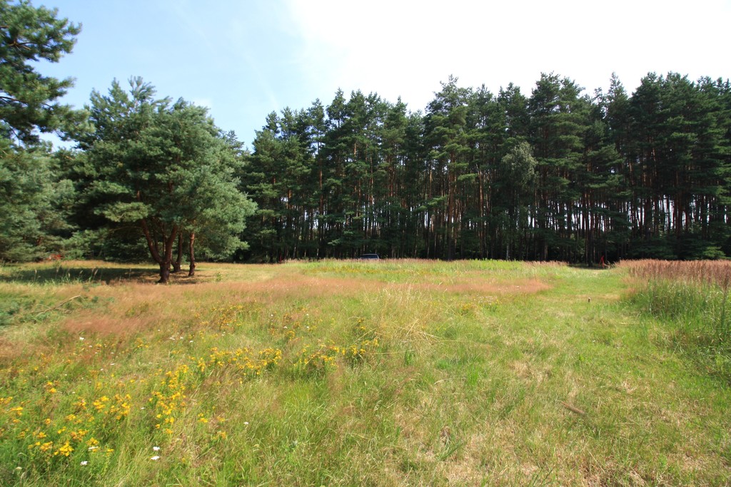 Działka na sprzedaż Szczecin, Wielgowo 1 960 m2 | Arka Nieruchomości