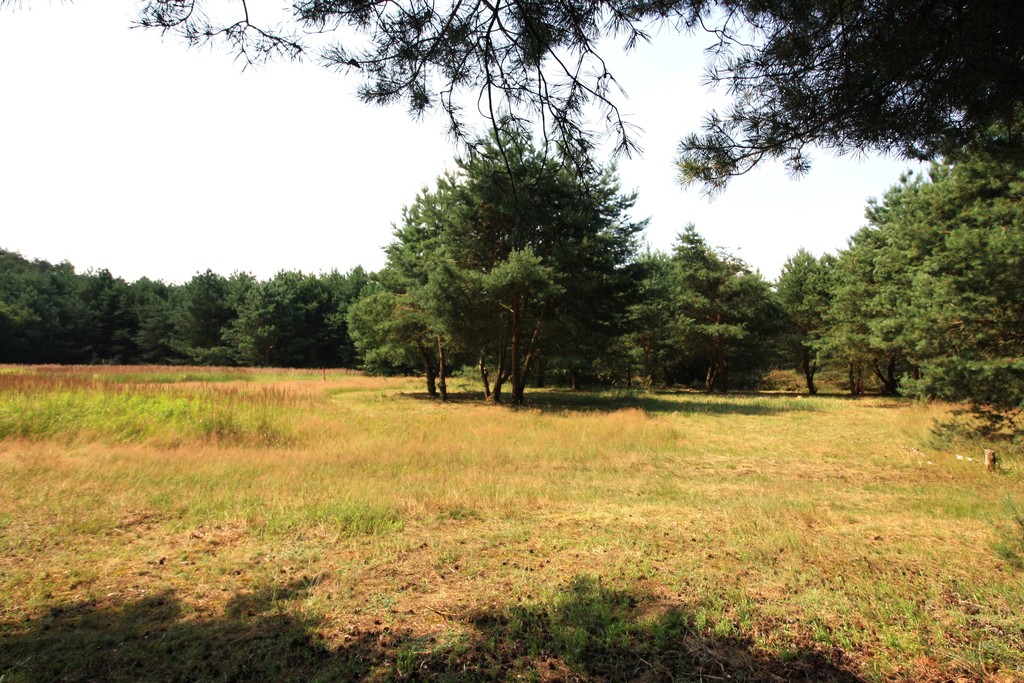 Działka na sprzedaż Szczecin, Wielgowo 1 960 m2 | Arka Nieruchomości