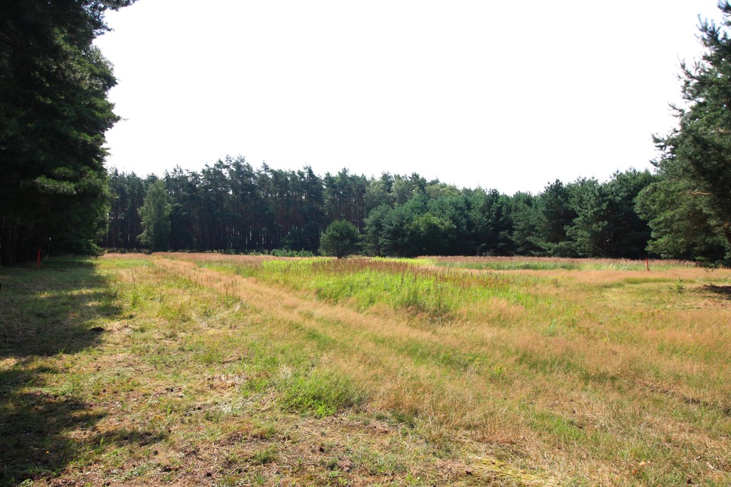 Działka na sprzedaż Szczecin, Wielgowo 1 960 m2 | Arka Nieruchomości