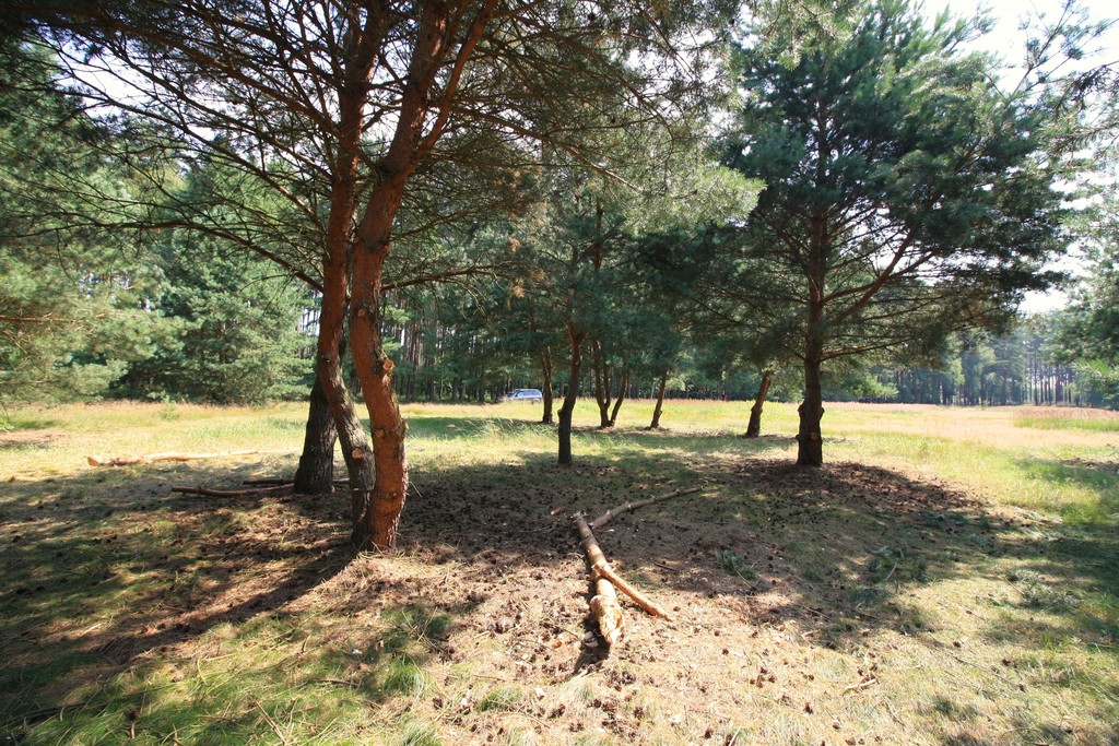 Działka na sprzedaż Szczecin, Wielgowo 1 960 m2 | Arka Nieruchomości