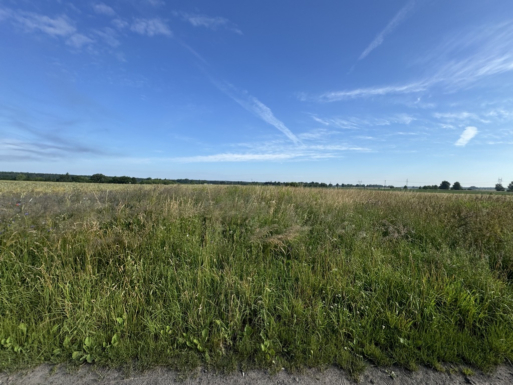 Działka na sprzedaż Goleniów 2 948 m2 | Arka Nieruchomości