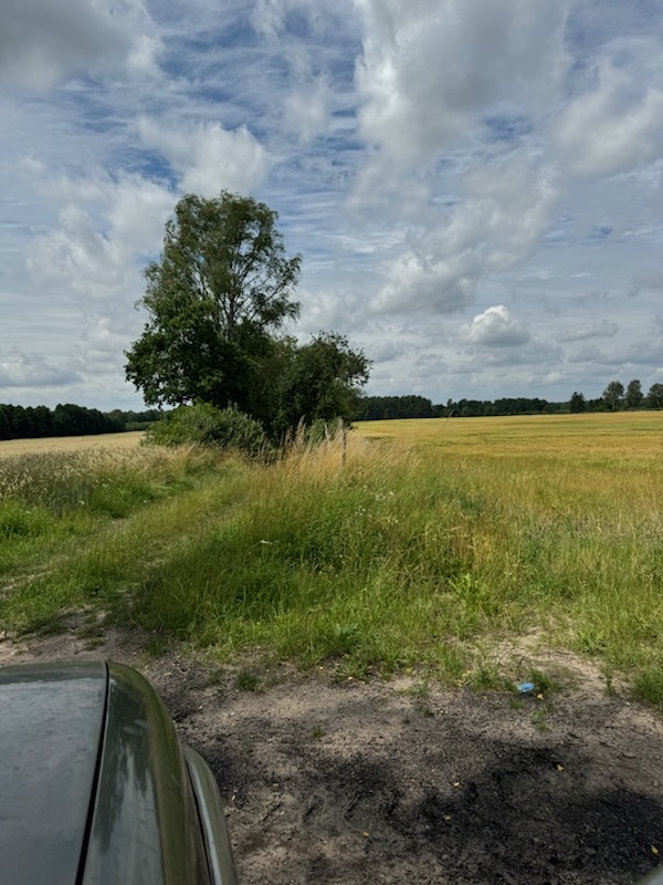 Działka na sprzedaż Dobropole 252 853 m2 | Arka Nieruchomości