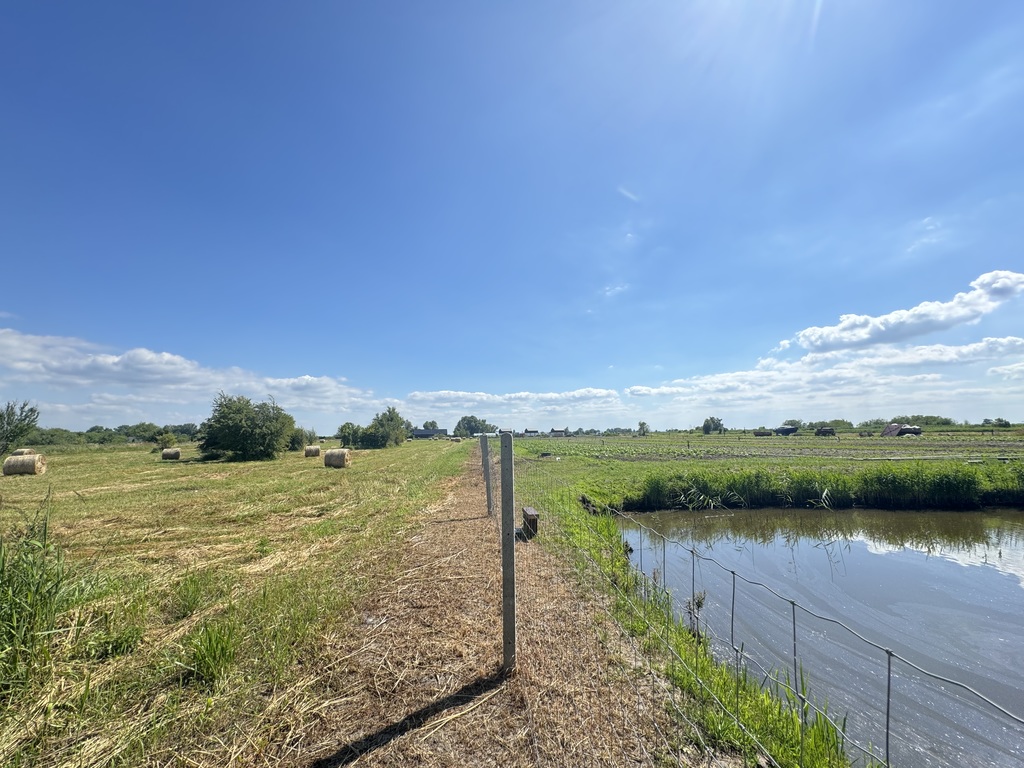 Działka na sprzedaż Lubczyna 1 584 m2 | Arka Nieruchomości