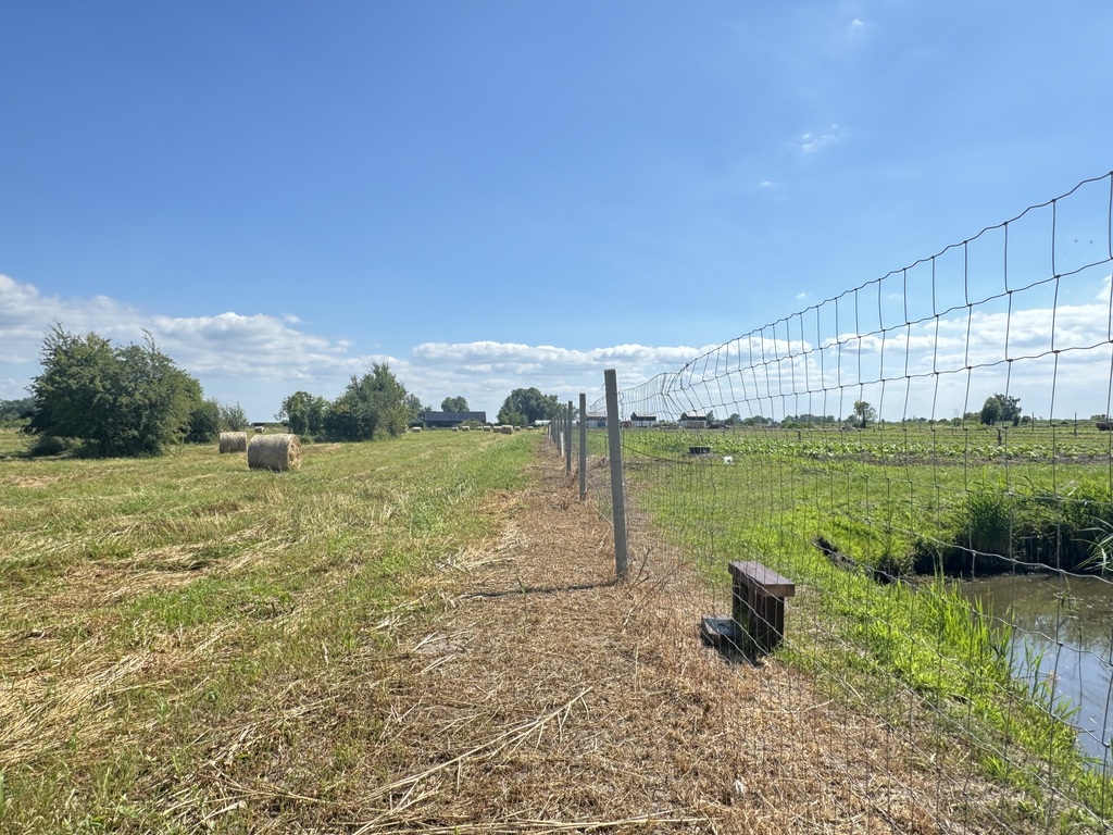 Działka na sprzedaż Lubczyna 1 000 m2 | Arka Nieruchomości