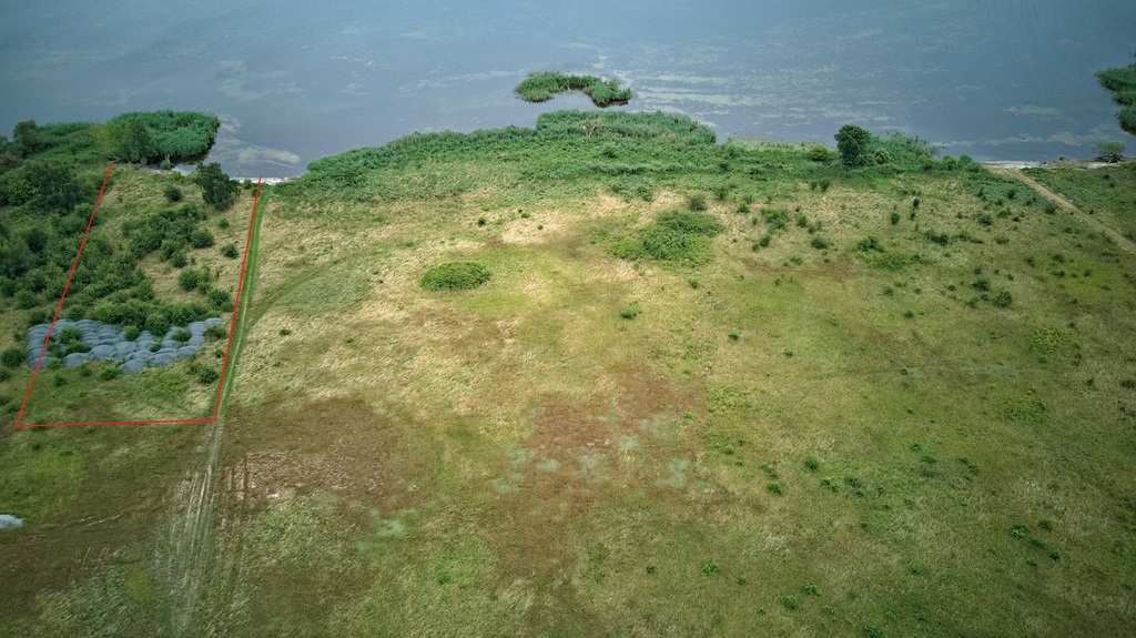 Działka na sprzedaż Płocin 3 000 m2 | Arka Nieruchomości