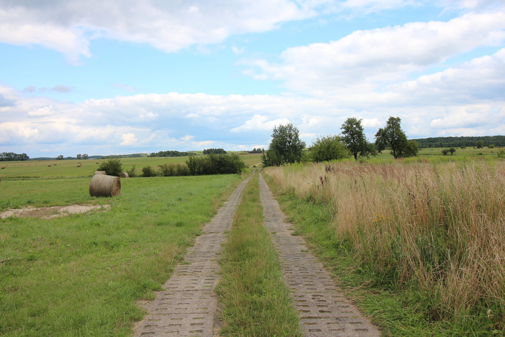 Działka na sprzedaż Biała 7 700 m2 | Arka Nieruchomości
