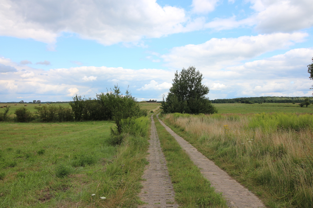 Działka na sprzedaż Biała 7 700 m2 | Arka Nieruchomości