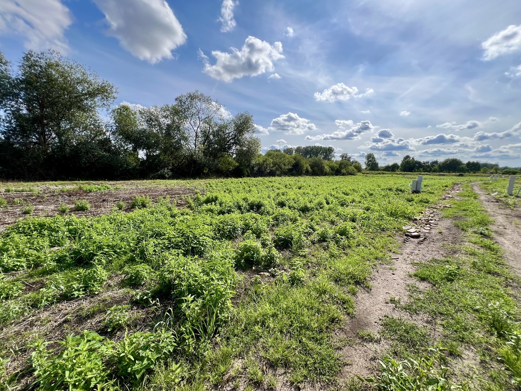 Działka na sprzedaż Stare Chrapowo 1 286 m2 | Arka Nieruchomości