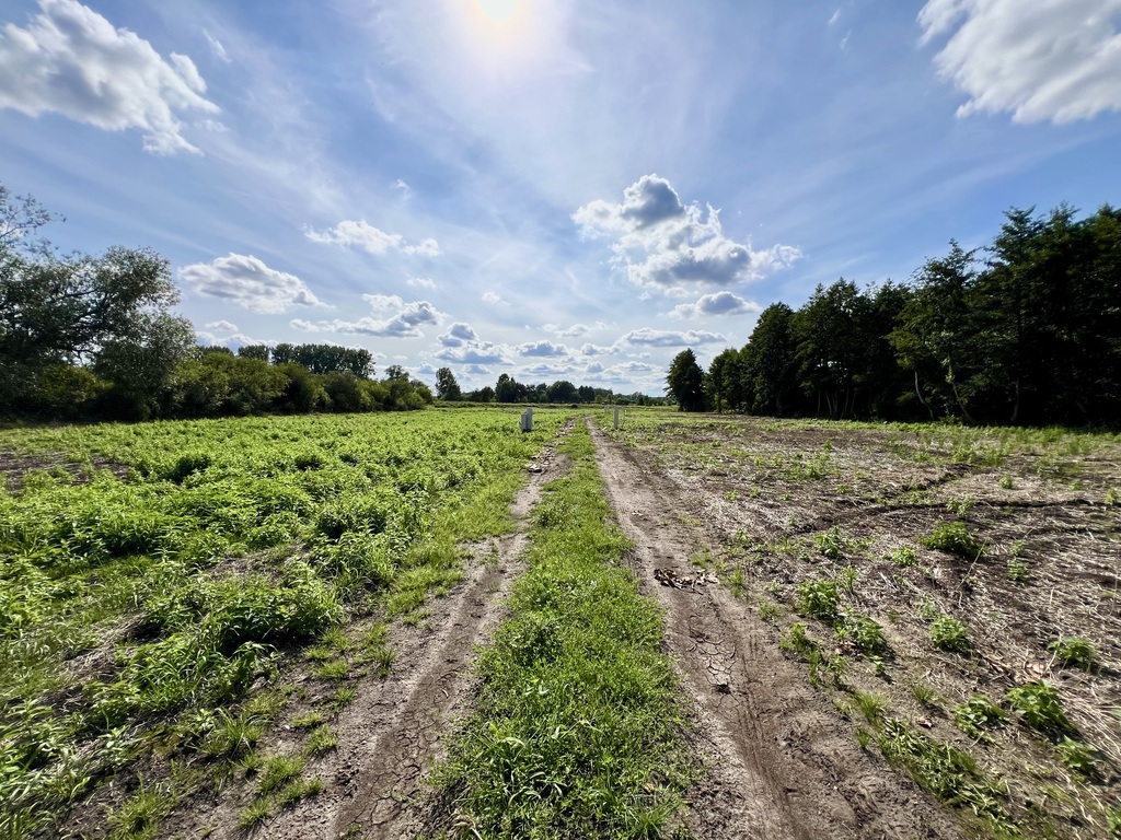 Działka na sprzedaż Stare Chrapowo 1 286 m2 | Arka Nieruchomości