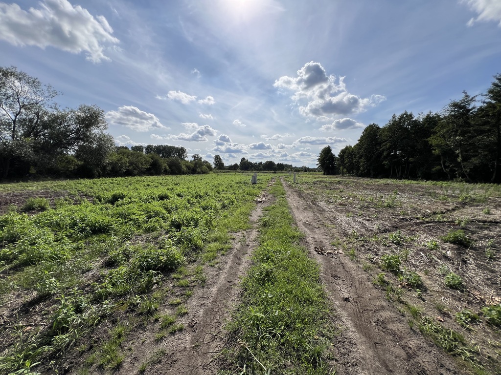 Działka na sprzedaż Stare Chrapowo 1 286 m2 | Arka Nieruchomości