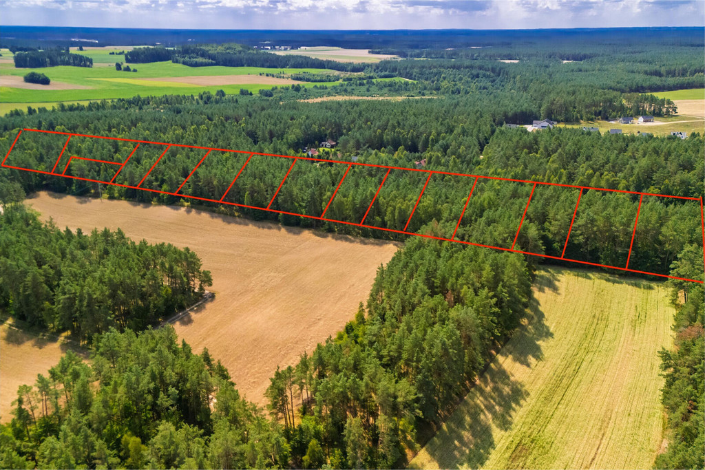 Kompleks 14 działek budowlanych w Niesiołowicach