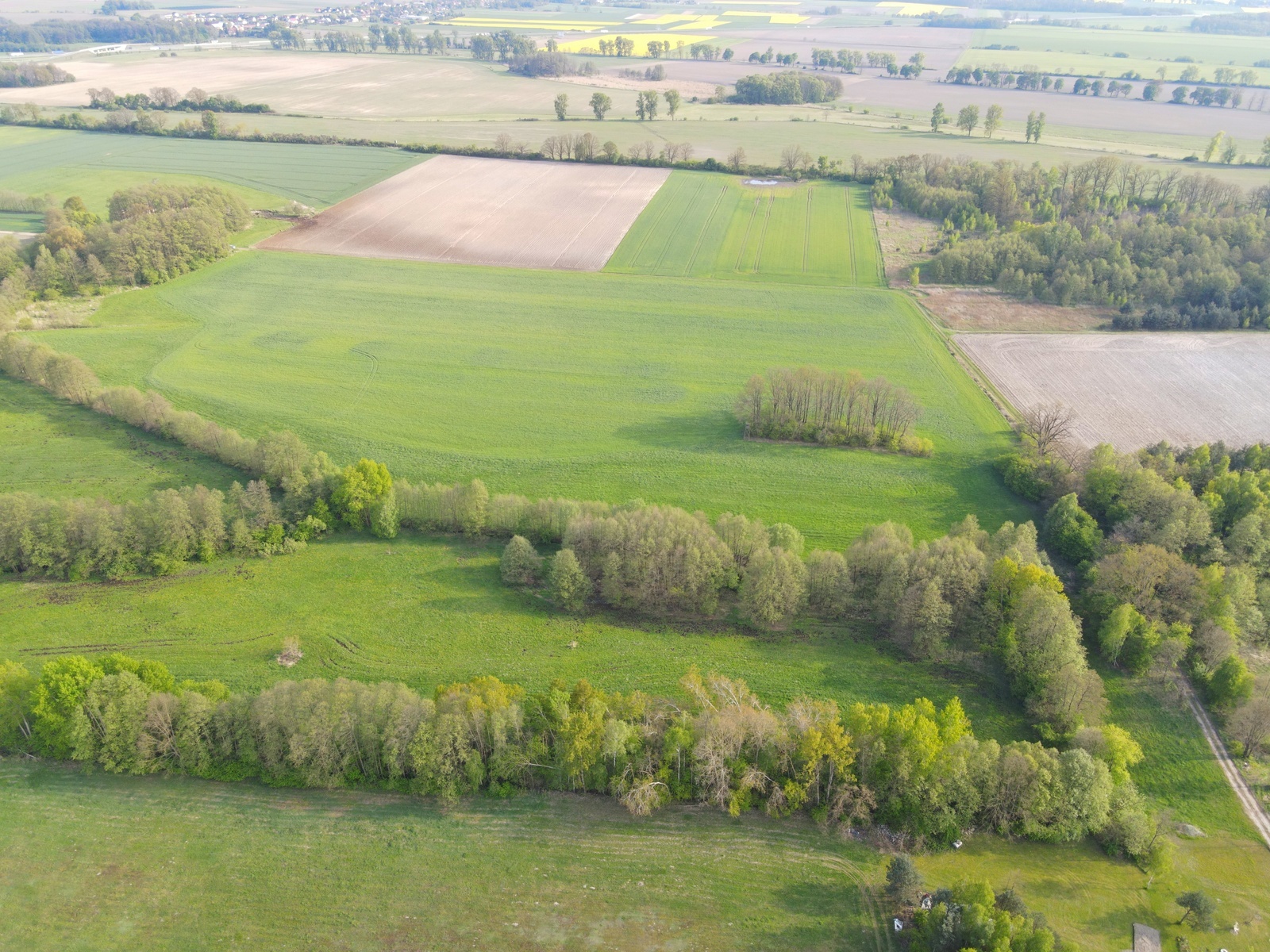 Zdjęcie nieruchomości