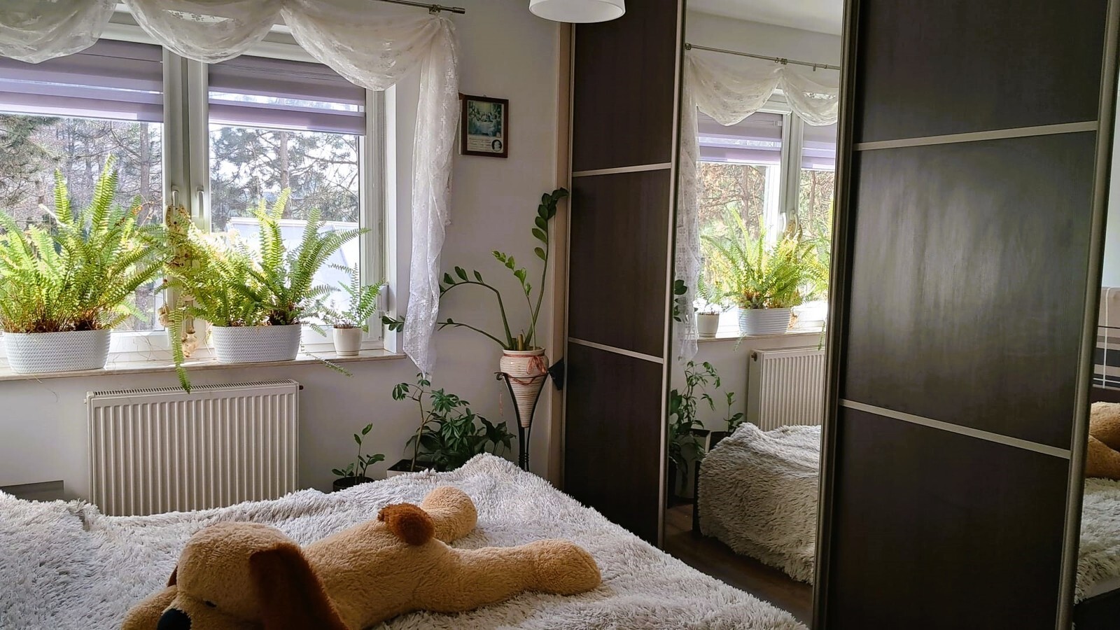 Zdjęcie nieruchomości