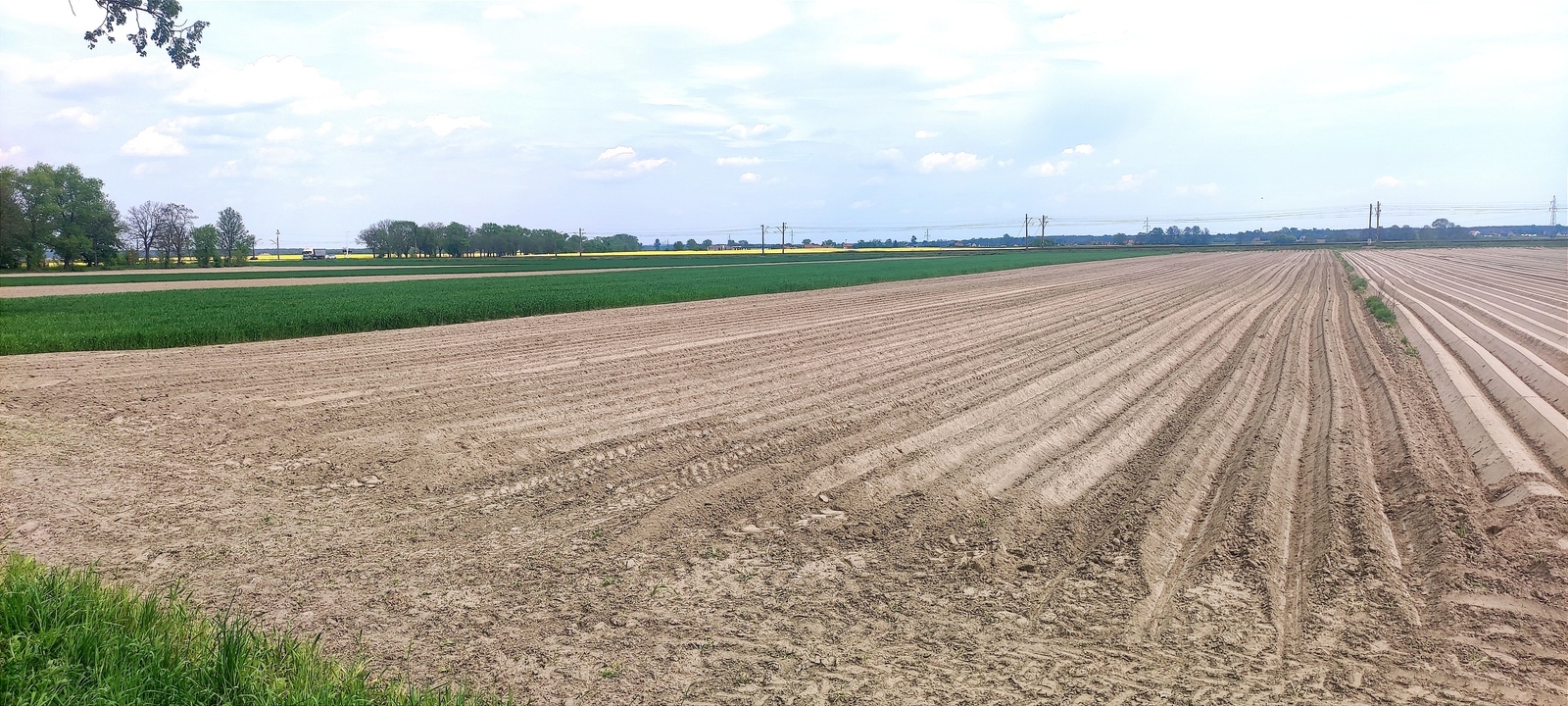 Zdjęcie nieruchomości